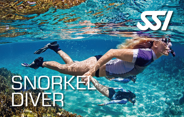 Snorkel Diver