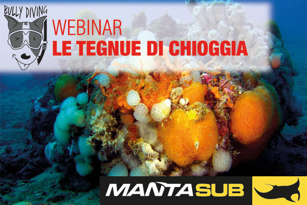 21/05/2020 TEGNUE DI CHIOGGIA