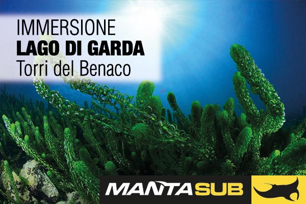 29/08/20 IMMERSIONE LAGO DI GARDA