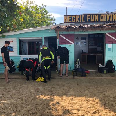 Negril Manta Verona